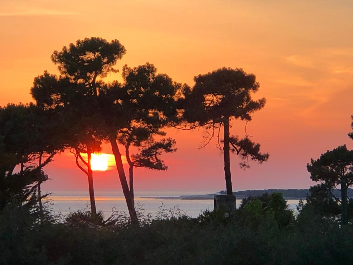 Chambre D'Hotes Pyla Sur Mer La Teste-de-Buch Exteriér fotografie