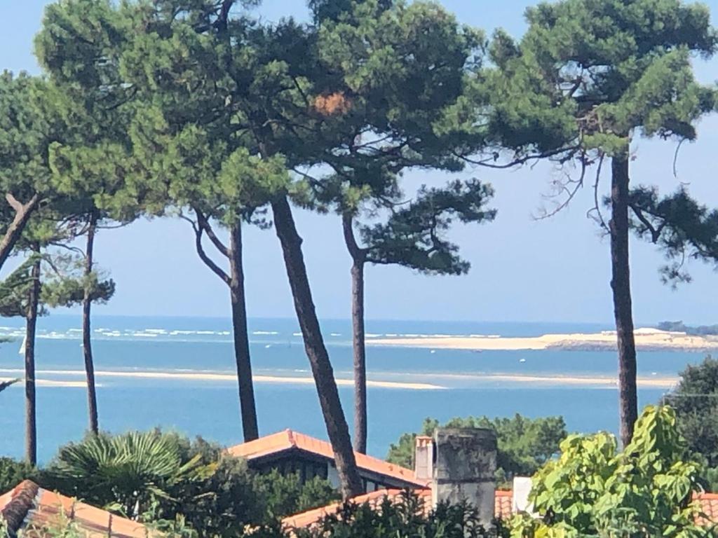Chambre D'Hotes Pyla Sur Mer La Teste-de-Buch Exteriér fotografie
